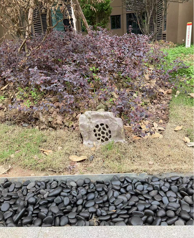 1665624113574549.png image.png